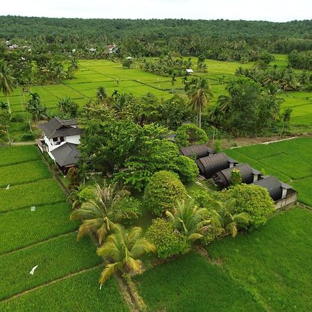 Gino'S Place - Guest House & Jungle Trekking Bukit Lawang Luaran gambar