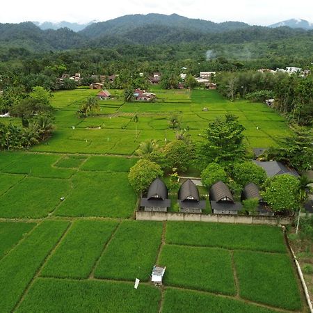Gino'S Place - Guest House & Jungle Trekking Bukit Lawang Luaran gambar