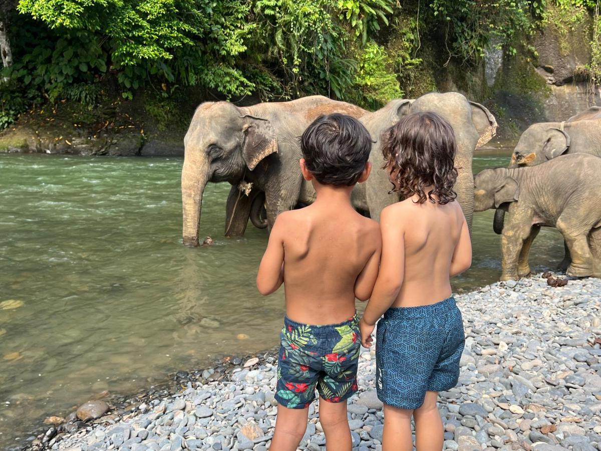 Gino'S Place - Guest House & Jungle Trekking Bukit Lawang Luaran gambar
