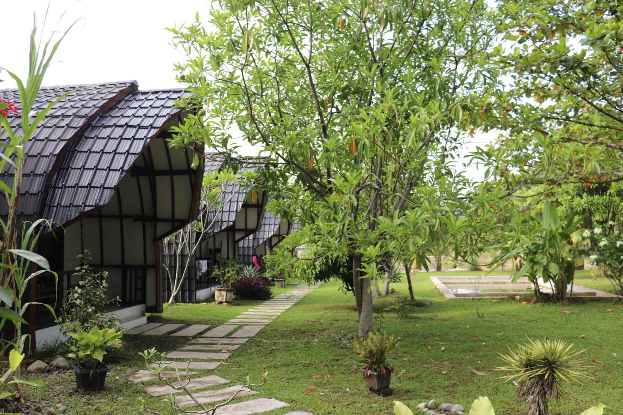 Gino'S Place - Guest House & Jungle Trekking Bukit Lawang Luaran gambar