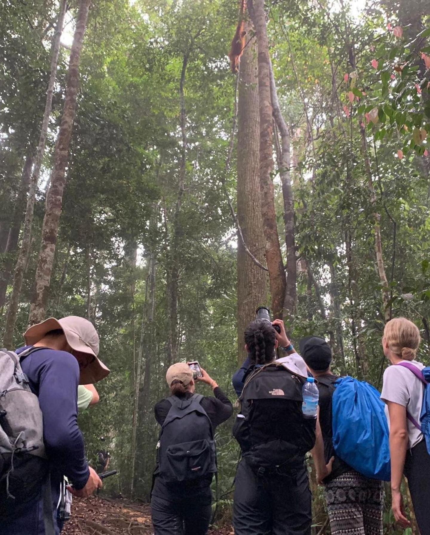 Gino'S Place - Guest House & Jungle Trekking Bukit Lawang Luaran gambar
