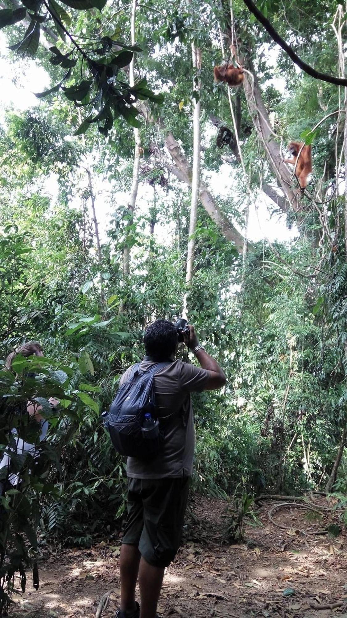 Gino'S Place - Guest House & Jungle Trekking Bukit Lawang Luaran gambar