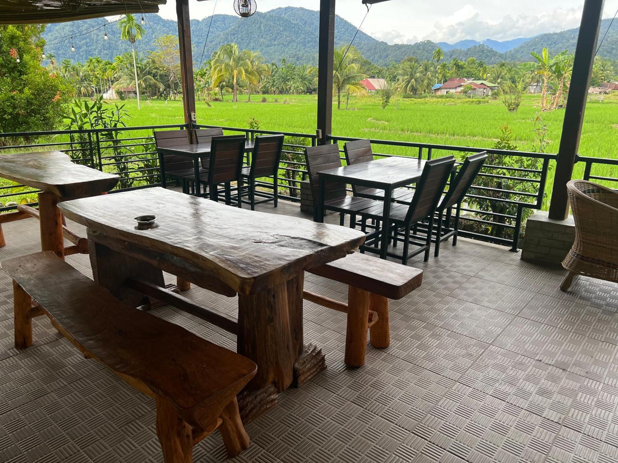 Gino'S Place - Guest House & Jungle Trekking Bukit Lawang Luaran gambar