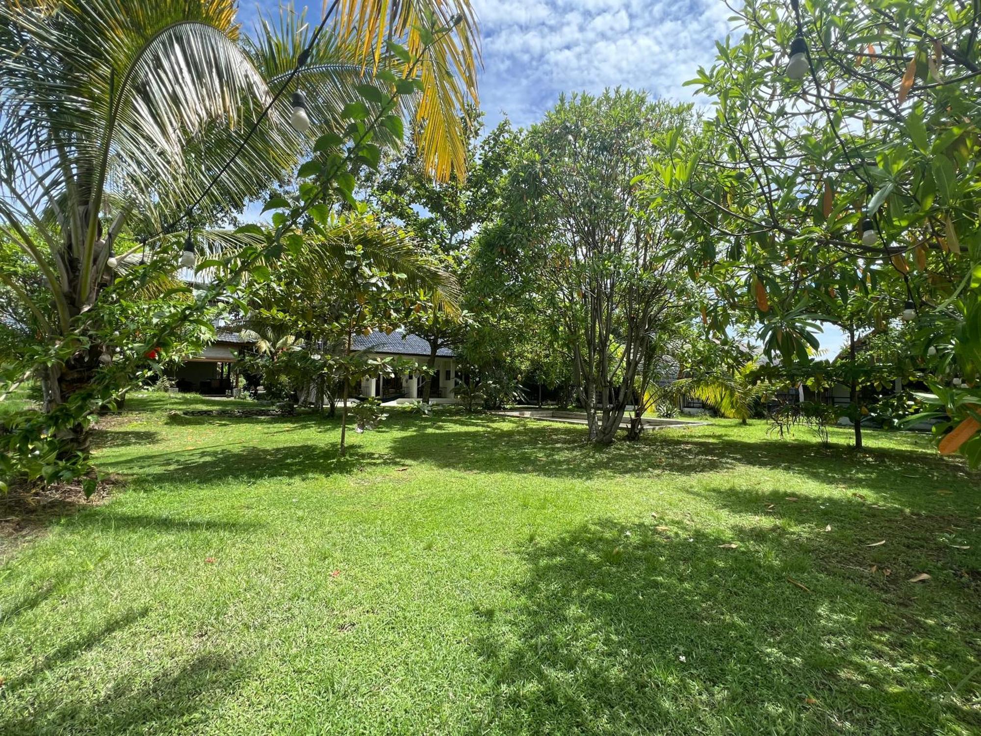 Gino'S Place - Guest House & Jungle Trekking Bukit Lawang Luaran gambar
