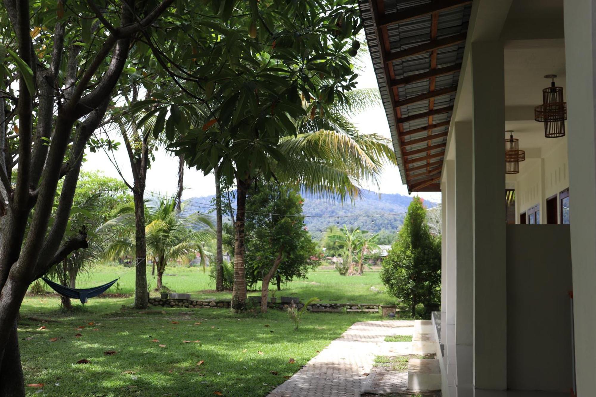 Gino'S Place - Guest House & Jungle Trekking Bukit Lawang Luaran gambar