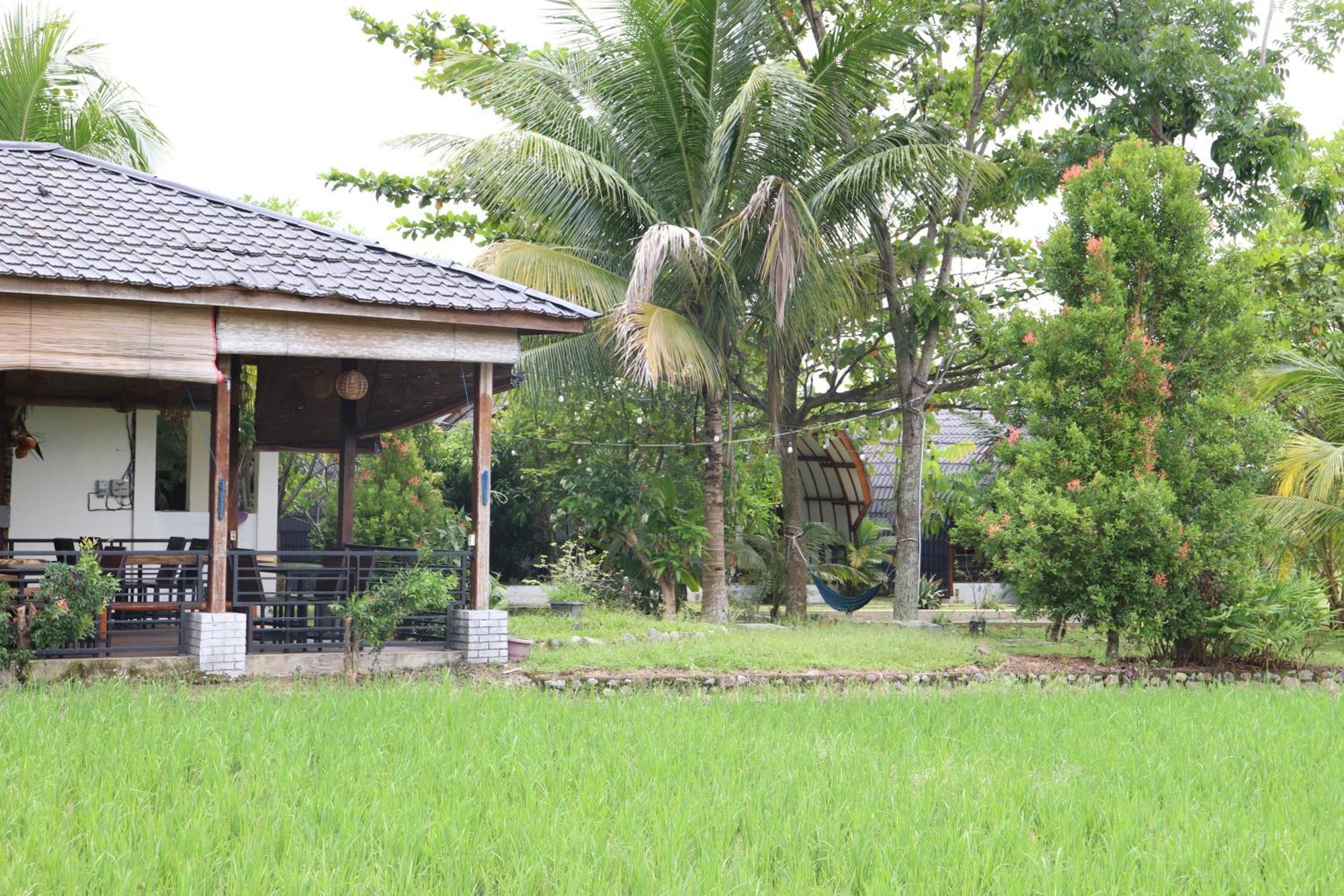Gino'S Place - Guest House & Jungle Trekking Bukit Lawang Luaran gambar