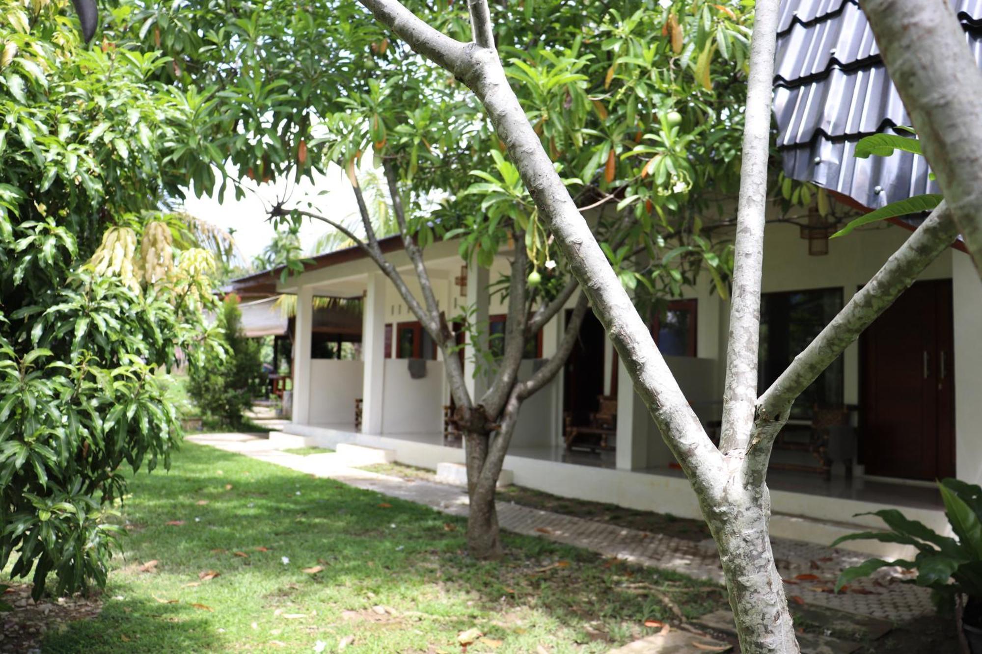 Gino'S Place - Guest House & Jungle Trekking Bukit Lawang Luaran gambar