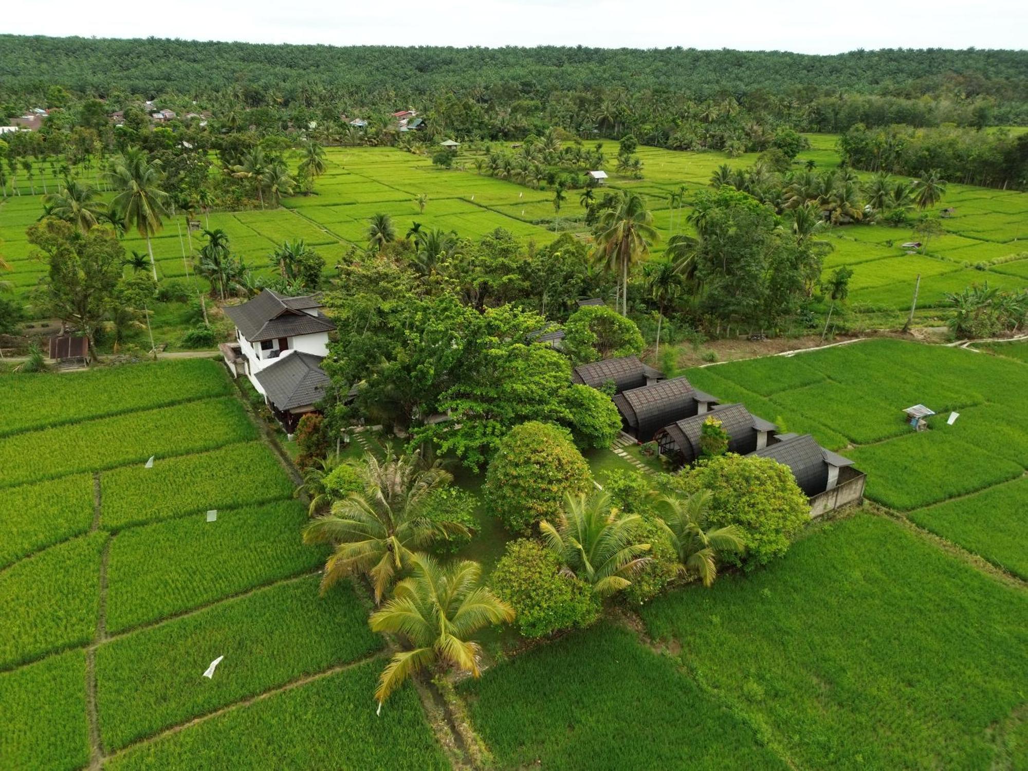 Gino'S Place - Guest House & Jungle Trekking Bukit Lawang Luaran gambar
