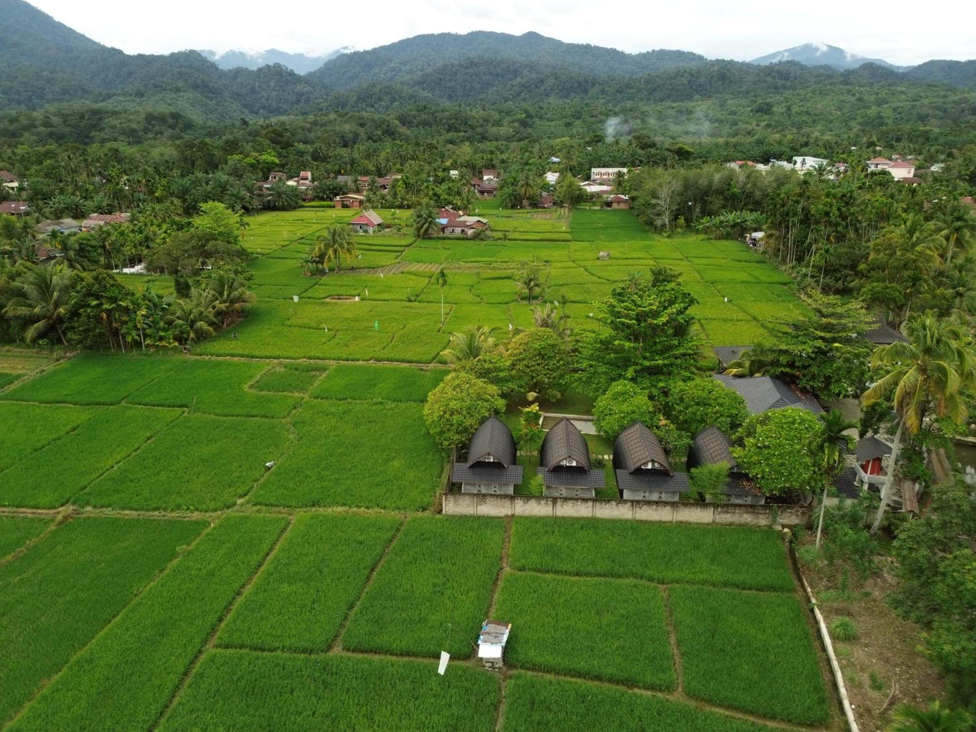Gino'S Place - Guest House & Jungle Trekking Bukit Lawang Luaran gambar